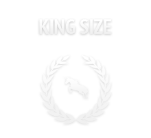 Architektur für die Zukunft