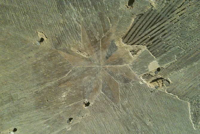 05-agp-hamburg-blumenau